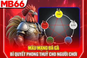 Màu Mạng Đá Gà - Bí Quyết Phong Thuỷ Cho Người Chơi 